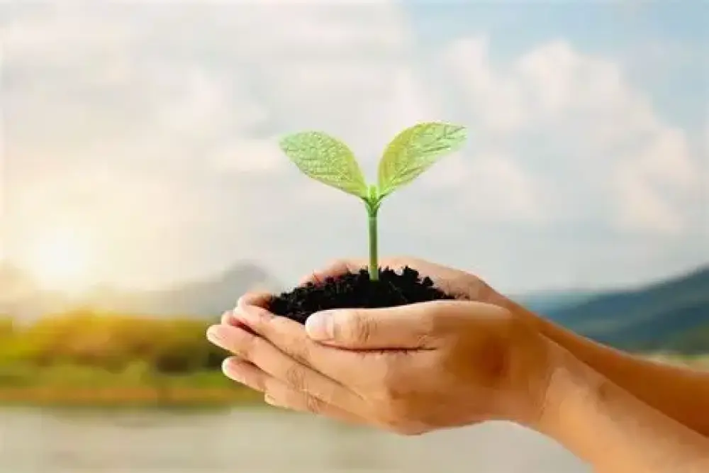 Sự kiện trải nghiệm lối sống lành: "Sống chậm và gắn kết với thiên nhiên" cùng thảo dược Trúc Mây.